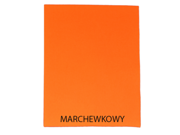 Papier kolorowy A3-160g - obrazek 3